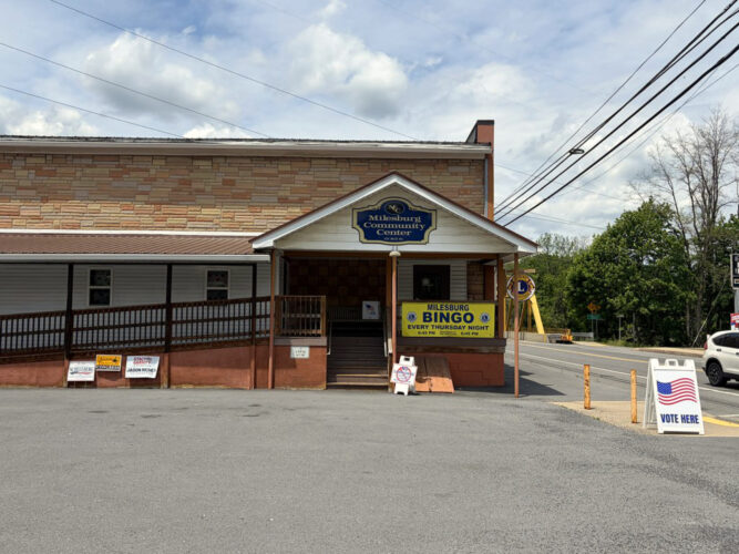 Local precincts report  lower-than-average  turnout in primary election